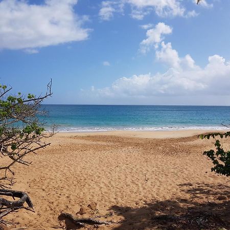 L'Aurielle, Tout Le Confort A 500M De La Plage サント・ローズ エクステリア 写真