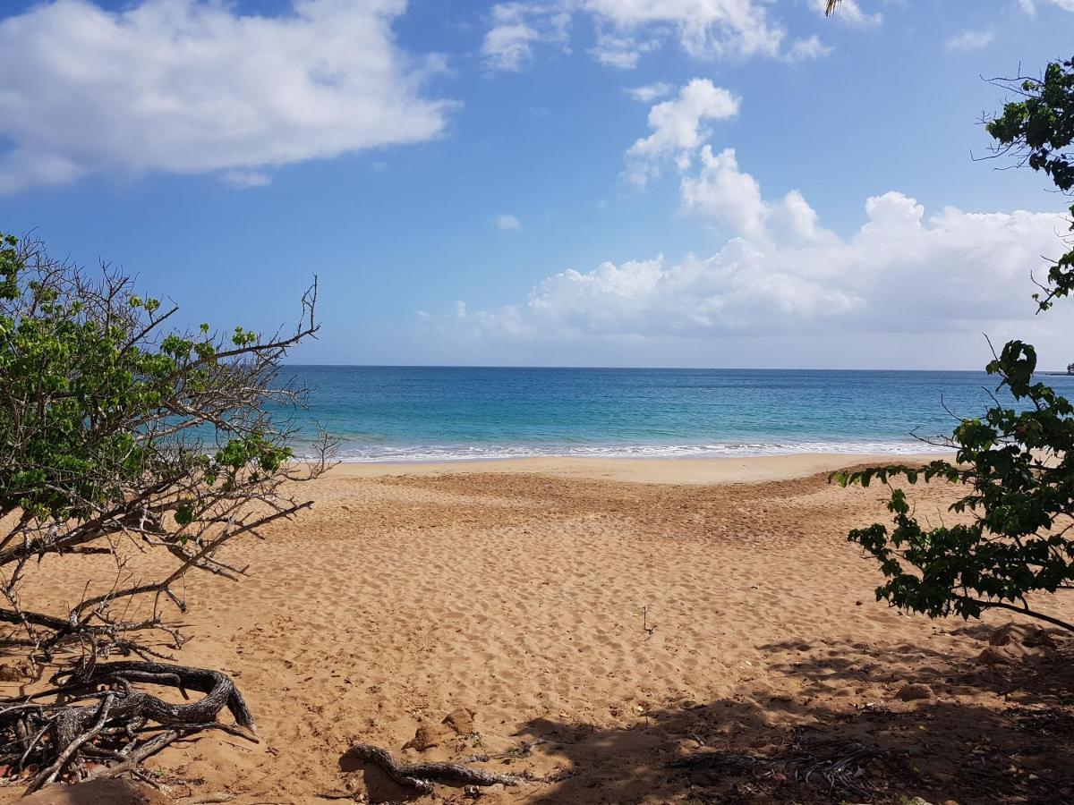 L'Aurielle, Tout Le Confort A 500M De La Plage サント・ローズ エクステリア 写真
