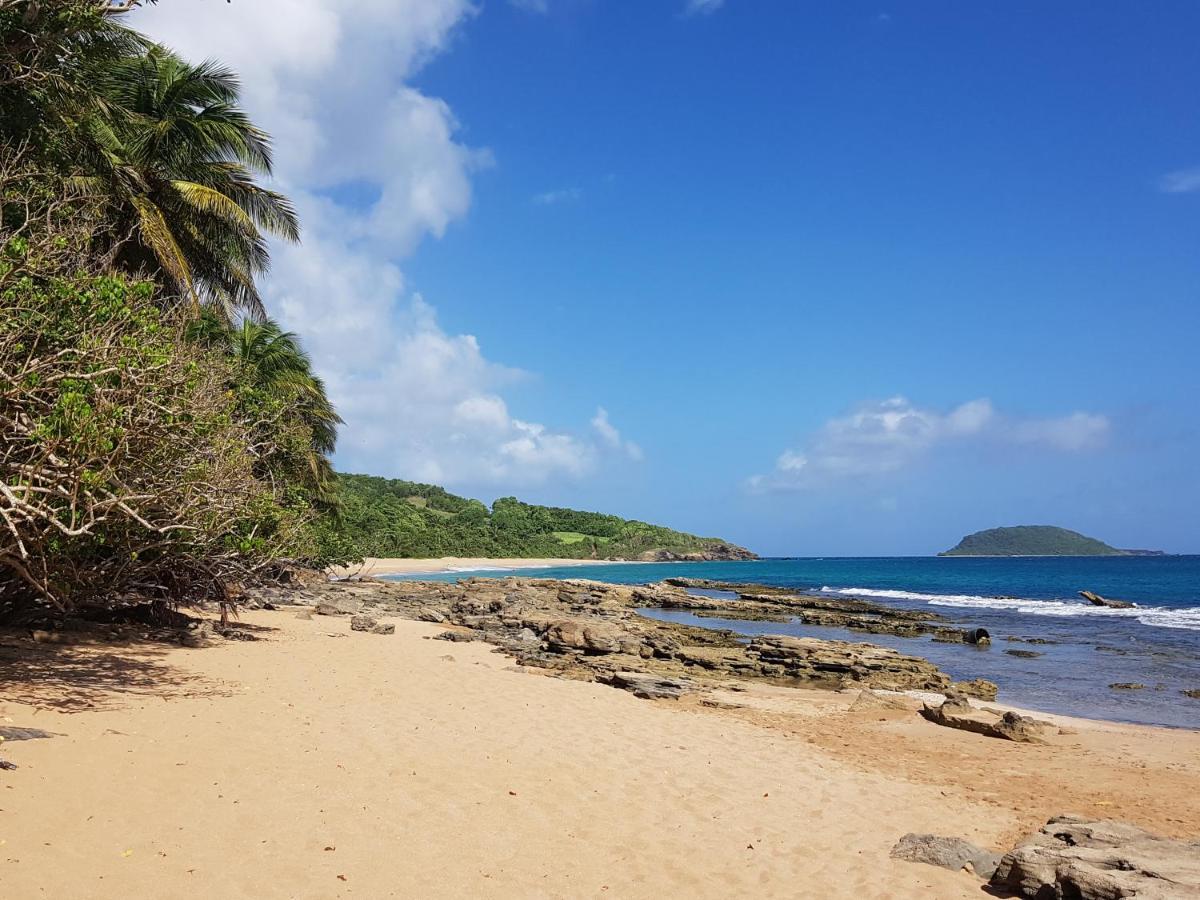 L'Aurielle, Tout Le Confort A 500M De La Plage サント・ローズ エクステリア 写真